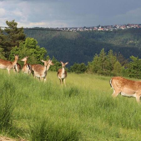 Lovely Apartment In The Black Forest Villingen-Schwenningen Buitenkant foto