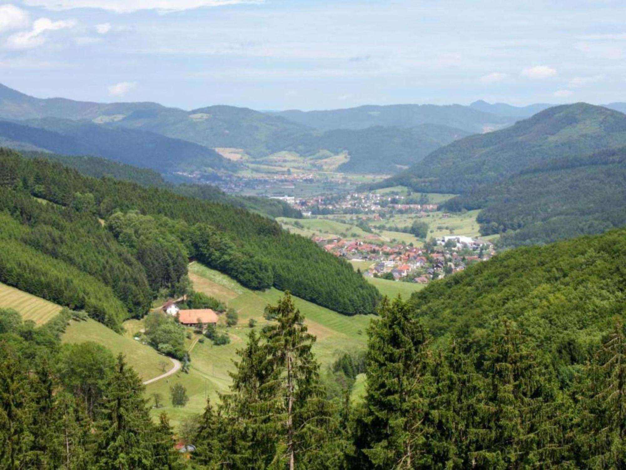 Lovely Apartment In The Black Forest Villingen-Schwenningen Buitenkant foto