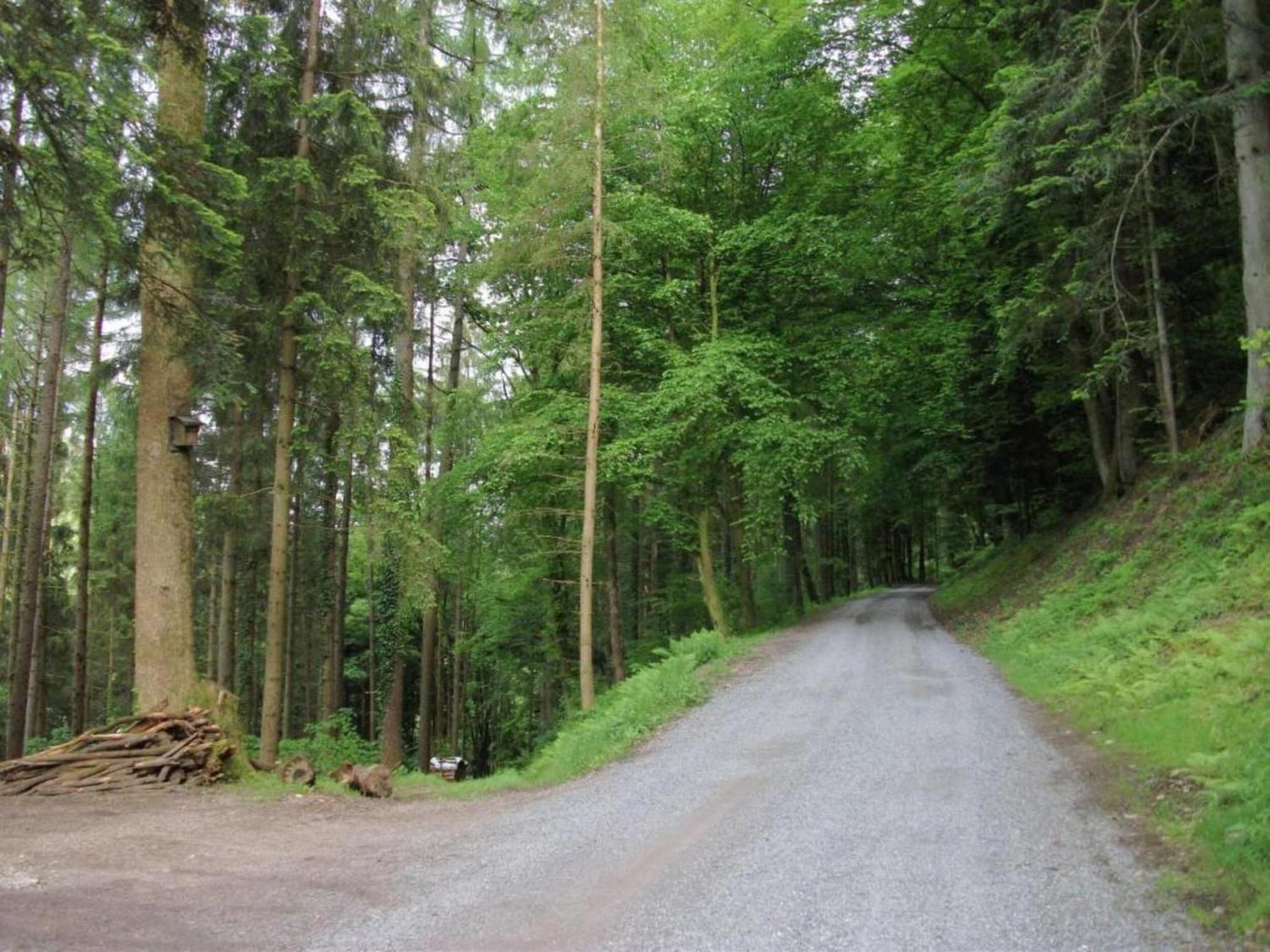 Lovely Apartment In The Black Forest Villingen-Schwenningen Buitenkant foto
