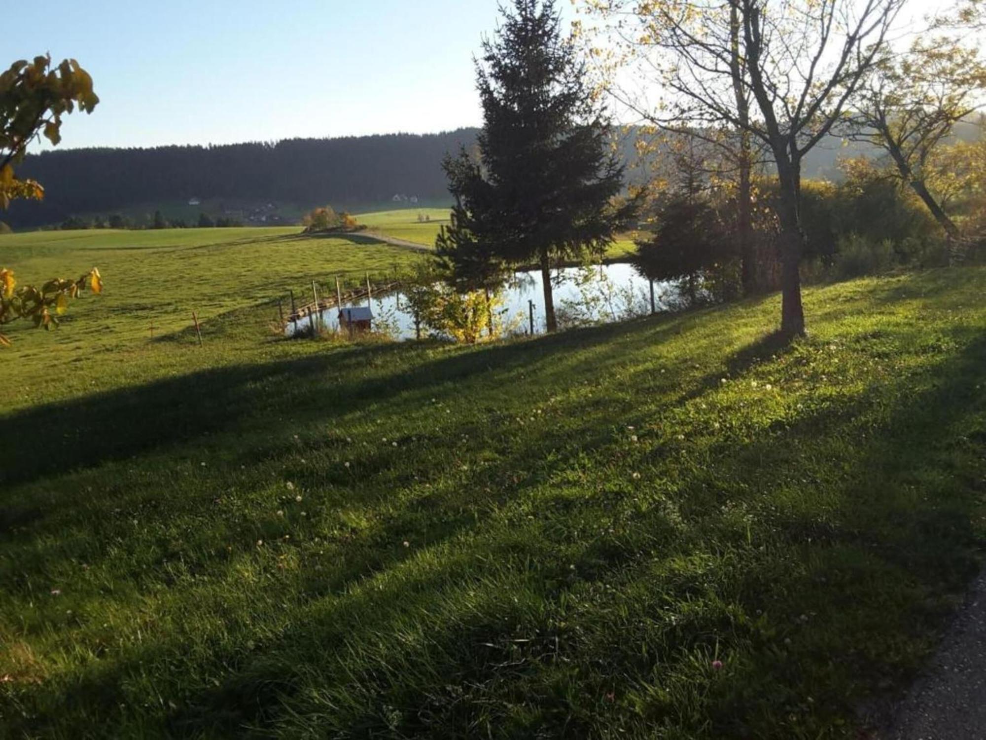 Lovely Apartment In The Black Forest Villingen-Schwenningen Buitenkant foto