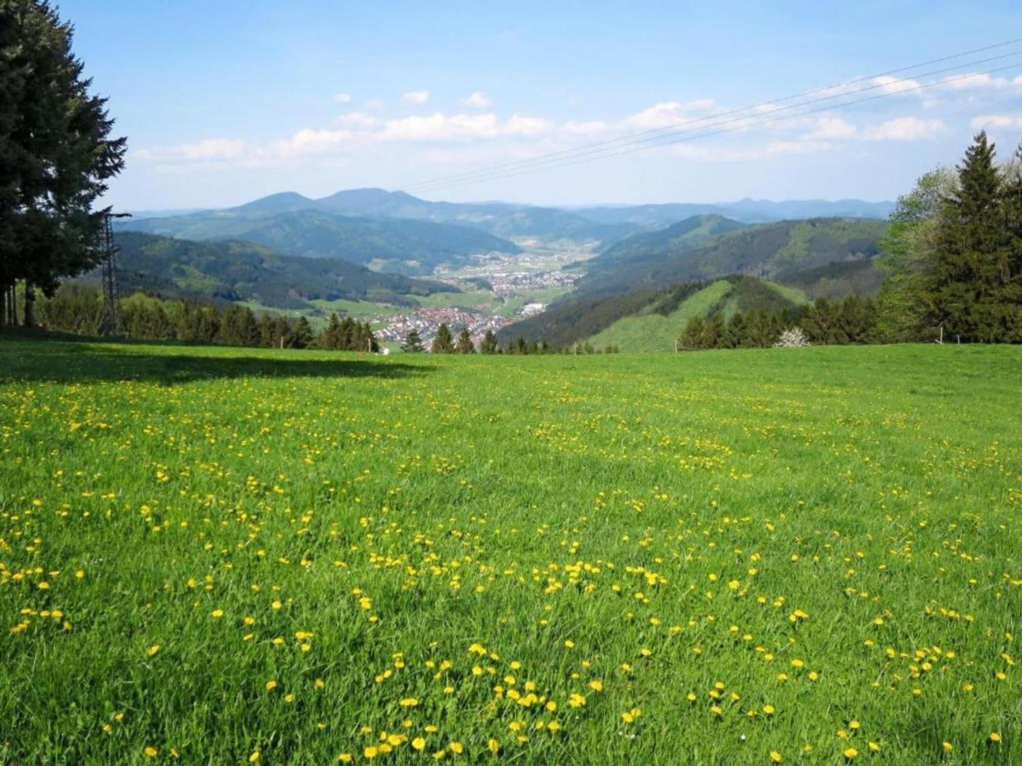 Lovely Apartment In The Black Forest Villingen-Schwenningen Buitenkant foto