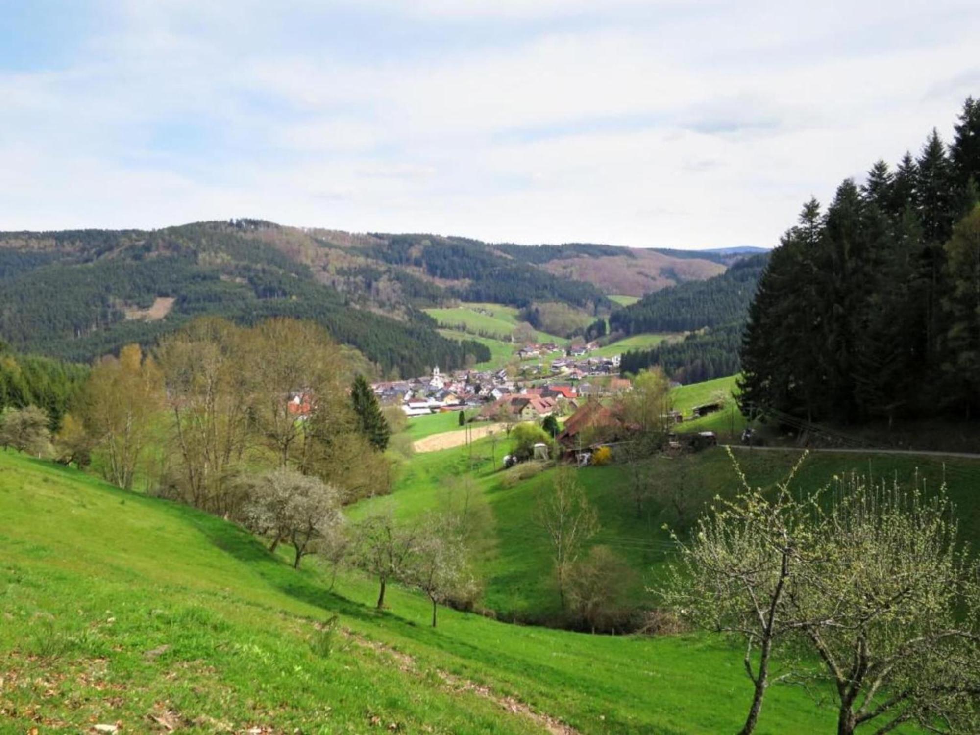 Lovely Apartment In The Black Forest Villingen-Schwenningen Buitenkant foto