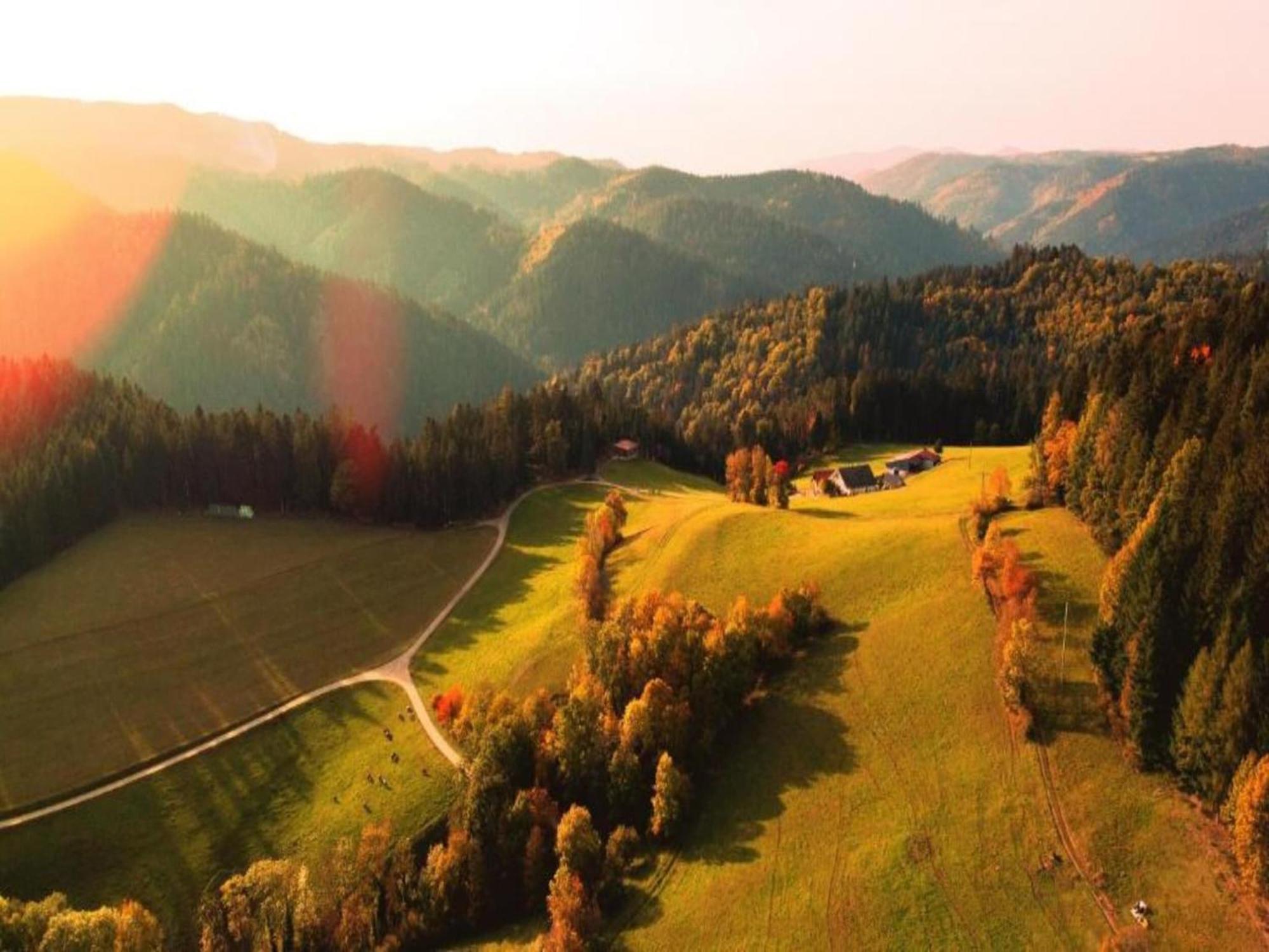 Lovely Apartment In The Black Forest Villingen-Schwenningen Buitenkant foto