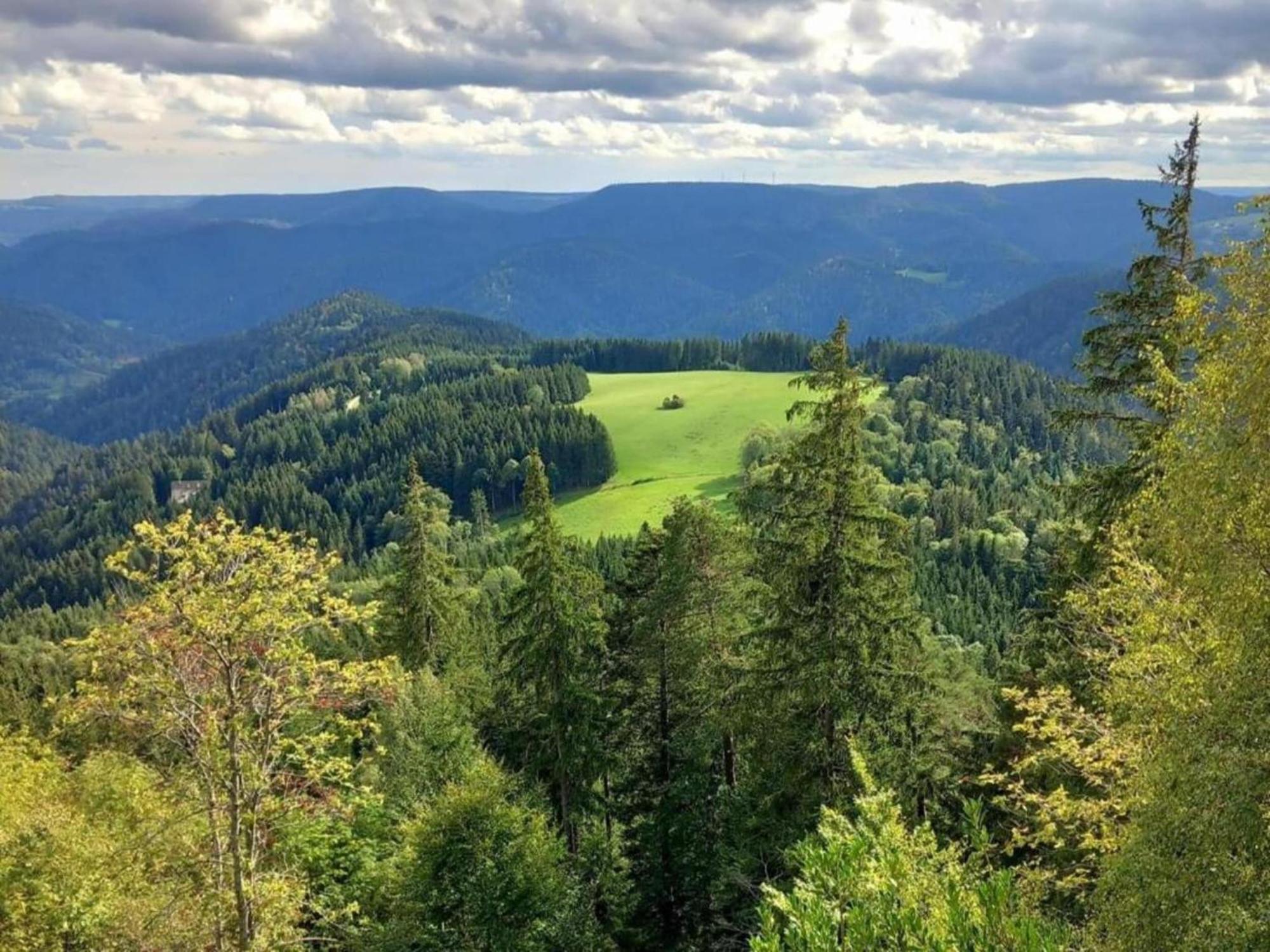 Lovely Apartment In The Black Forest Villingen-Schwenningen Buitenkant foto